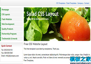 白色背景簡約salad單頁web網站模板