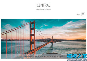 Central大气响应式商务机构中央网站模板