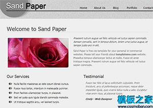 sand paper垂直頁面干凈整潔專業網站模板