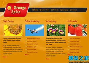orange spice橙色背景簡約精致單頁網站模板