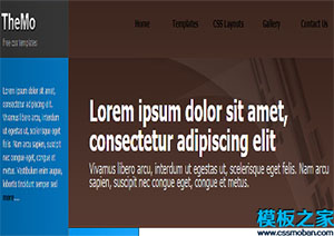 zine blue雜志或博客網站簡單多欄布局網站模板