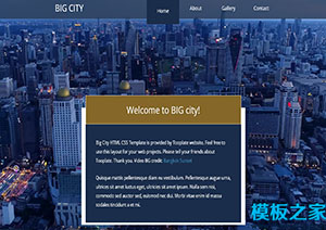 City移动式城市风景图响应式网站模板