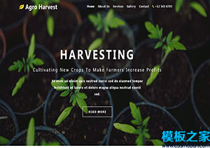 Agro Harvest寬屏綠色植物盆栽創新html模板