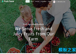 Fruit Farm水果采摘农家乐引导式单页网站模板