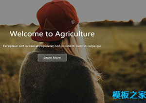 科技农业多色UI单页自举类别响应钱柜app