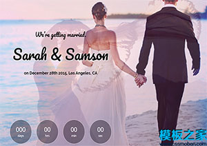 best wedding獨特干凈簡約現代化響應式網站模板