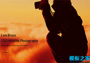 bruce夕阳摄影现代高质量标准设计多种设备web网站模板