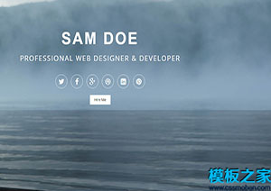 portfolio簡約前端開發設計師頁面設計web網站模板