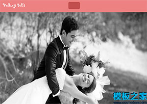wedding bells浪漫唯美粉色頁眉婚慶公司響應式網站模板