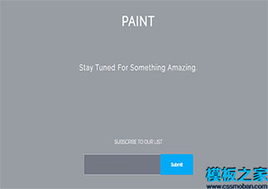 paint扁平简约灰色响应迅速干净自定义响应式网站模板