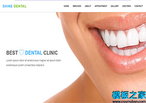 shine denta干净大气创意医院诊所自定义网站模板
