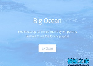 大海洋创意旅行公司企业宣传介绍首页网站模板