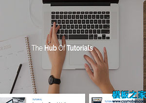 tutor简约整洁网络课程学习中枢网站响应式模板