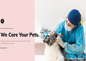 Animal溫馨雙色排版寵物護理醫院引導式模板網站