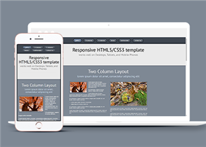 灰色復古經典響應式CSS3單頁網站模板