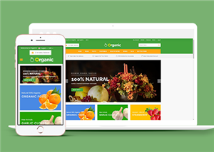 绿色水果蔬菜电子商务商城网站模板