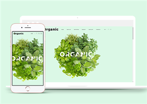 绿色有机蔬菜水果食品电商网站模板