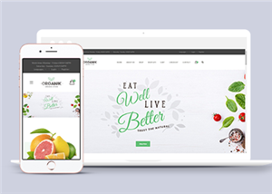 創意綠色水果蔬菜類電子商務網站模板