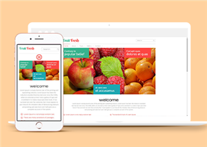 紅色樣式風格網上水果銷售企業網站模板