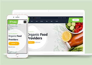 清新创意绿色有机食品供应商网站模板