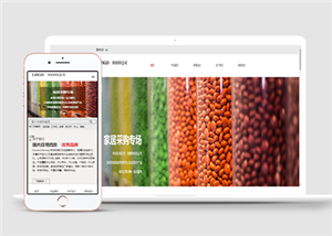 日用百货家居采购办公用品大豆食物零食HTML5网站模板
