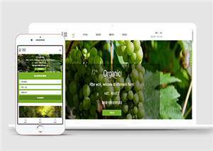 原生态农庄绿色主题农业产品HTML5网站模板有机食品餐饮