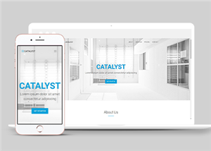 简洁白色素净设计通用企业单页网站模板