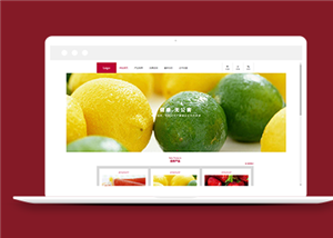 红色精美水果销售加盟公司网站模板