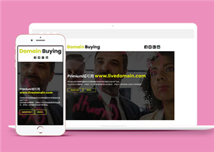 黑色简洁公司在线域名销售网站模板