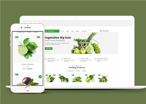 绿色清新蔬菜网上超市响应式网站模板