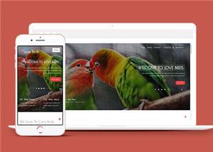 創意可愛斗鳥養鳥遛鳥交流網站模板