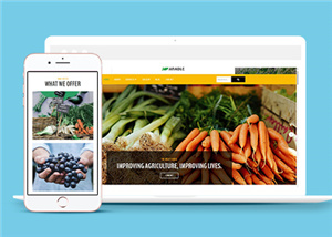 黃色響應式農產品銷售企業網站模板