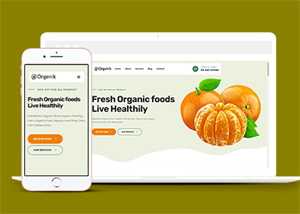 綠色精美甜橙種植農場HTLM5網站模板