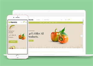 綠色蔬菜水果生鮮超市網站模板下載