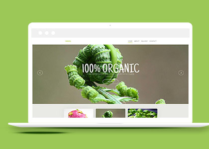 绿色有机蔬菜网站html5模板下载