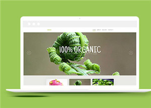 綠色有機蔬菜網站html5模板下載