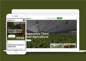 健康農業產品展示響應式網頁模板下載