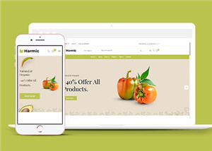 簡潔蔬菜水果生鮮超市電商網站模板下載