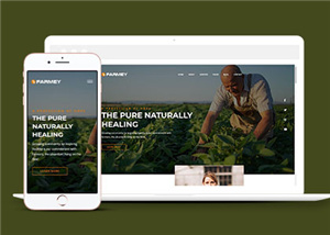 绿色食品农业种植网站模板下载