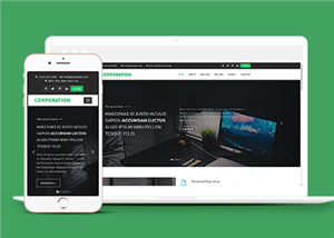 绿色响应式企业财务管理服务网站html模板