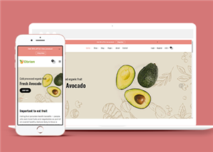 响应式绿色有机蔬菜水果美食商城网站html模板