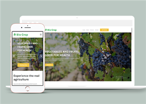 自適應綠色有機農產品種植公司html網站模板