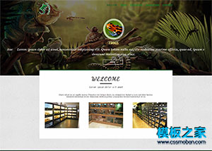 绿色爬行动物研究所响应式网页模板