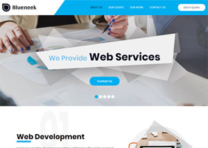 Web开发服务公司响应式网页模板