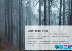 Nature完整背景图片适于摄影布局网站模板