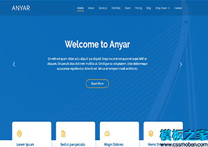 Anyar蓝色UI企业程序引导式商务模板