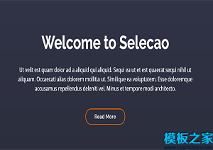 Selecao框架创建便捷响应式网站模板