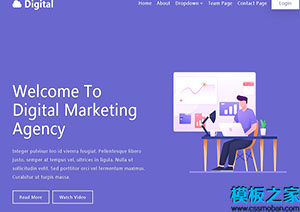 Digital紫色扁平化数字品牌推广营销网站模板