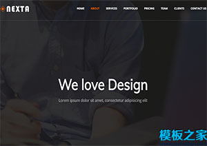 nexta时尚现代简洁公司企业单页web网站模板